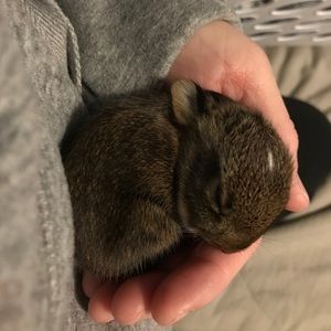 Meet your Posher, Tammy